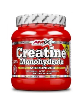 CREATINA MONOHIDRATE AMIX 300GR